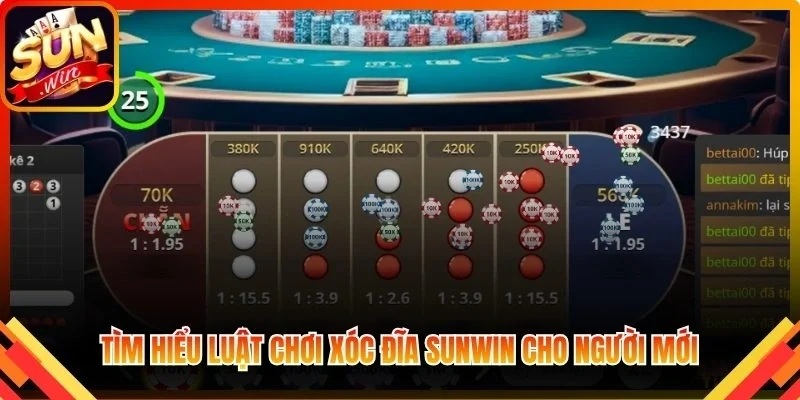 Tìm hiểu luật chơi Xóc Đĩa Sunwin cho người mới